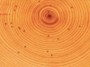 mzl-lrnujqnj-800x500-75