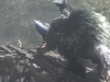 the-last-guardian_07