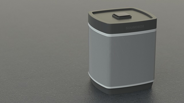 Speaker