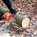 Chainsaw