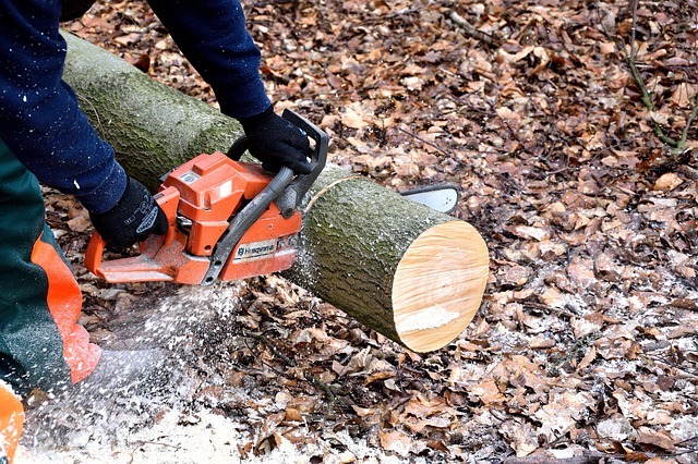 Chainsaw