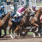 Race odds