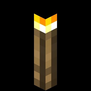 Torch