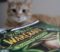 A cat with Warcraft book.