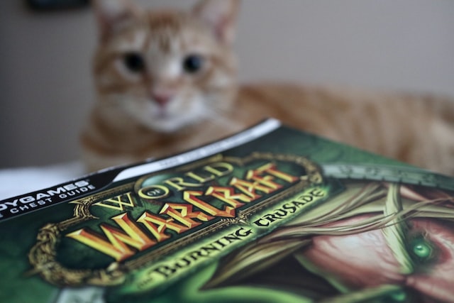 A cat with Warcraft book.