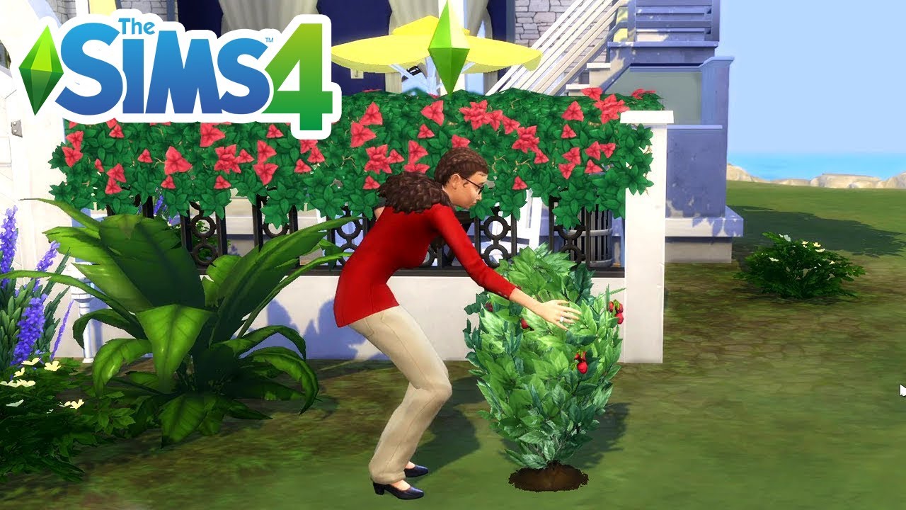 How to Get Strawberries in Sims 4