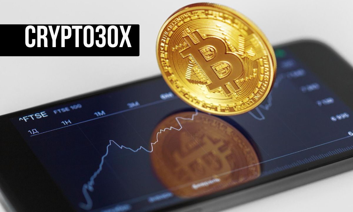 Crypto30x.com Gigachad