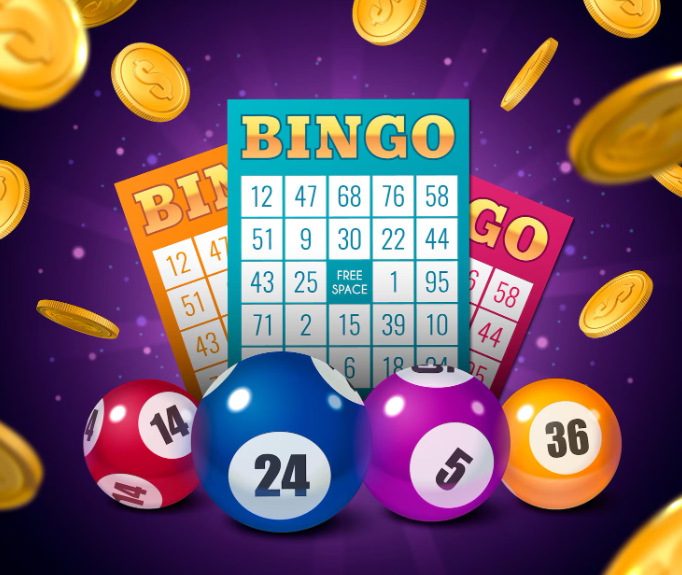 Bingo Gaming Software
