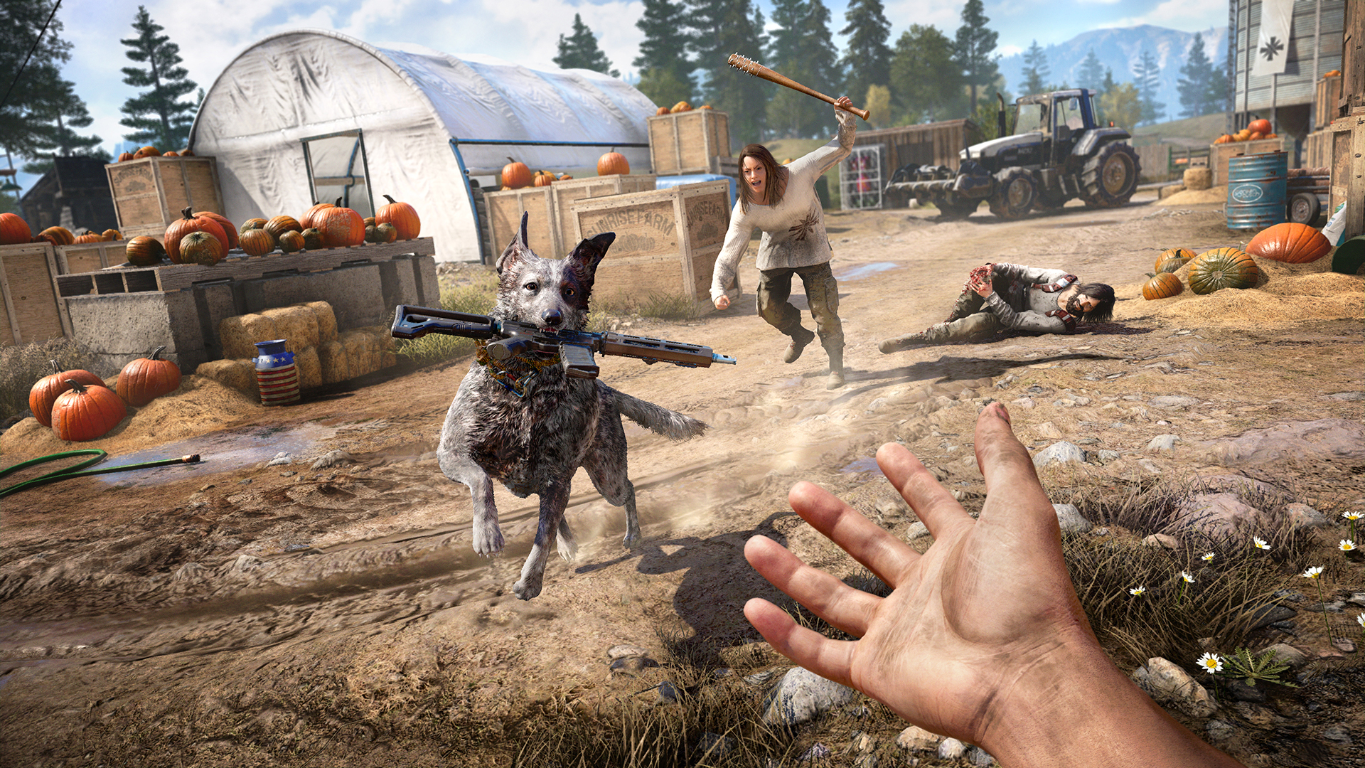 Far Cry 5 on PC